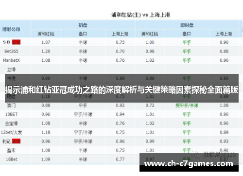 揭示浦和红钻亚冠成功之路的深度解析与关键策略因素探秘全面篇版